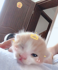 ����һ����