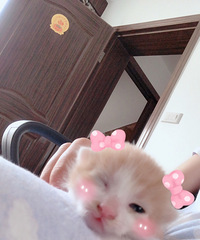 ����һ����