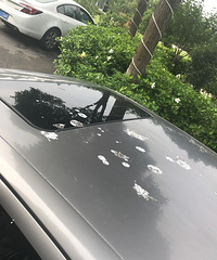 �����ҵ�С������ͣ������ȫ����ʺ