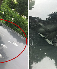 �����ҵ�С���� ͣ������ȫ����ʺ