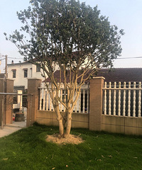 ����ʶ�Ǽ�����