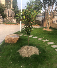 ����ʶ�Ǽ�����