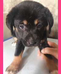 ���ܵ�19¥�ܷ����С������������