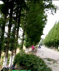 ͻ����������ɫ���Դﳵͷ��ײ���� ��������һ��