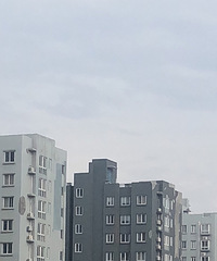 ���˻�Ź�Ԣ�ķ���ÿ���� ǽ��ͱ����������