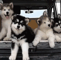 ���׵��裡��һ��ֱ���������ſڼ��� ֱ����֤