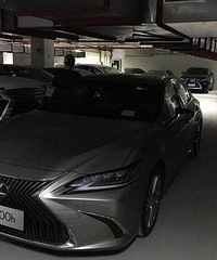 �׿���˹5���ڻ�����Ϊ6291̨ ������ն