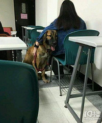 �������У���ϲ�����þ��� ��ô�죿