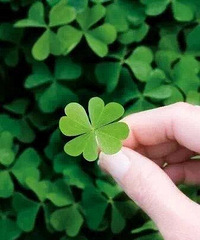 ���㣬�û��Ĳ�Ӱ��δ�����úõĲ��Ի�����