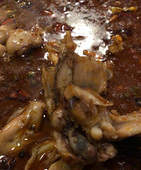 ���ģ�ȥ����ĳ�̳��Է�  ţ�ܵ����඼û�����ɾ�