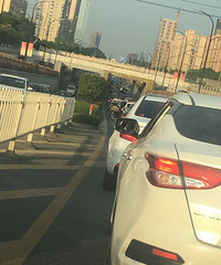 今天嘉兴怎么了?条条大路堵成狗 光嘉兴大桥开了20分钟!