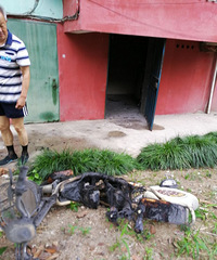 �峿����ĳС����ȫ���ս�ζ һ������Ѭ�ѣ�