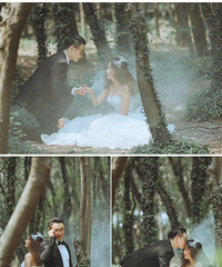 �Һ���������ɭϵ��ɴ�� ��Ƭ���������Ҹ���