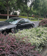 ���˱�������š����ú�һ����˵̱��̱�ˡ�����