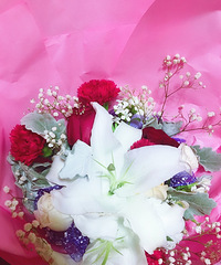 ϲ���ٺ�ʤ��õ��