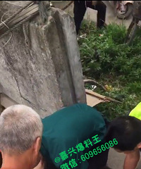 �������к��ӳ����ˣ��ĸ�С��һ����Ӿ ֻ�����������ˡ���