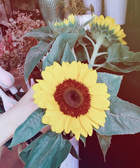 һ�θ����� ����ǰ����ϵ �Ƕ���������