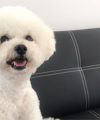 ��Ϊ�����������ϰ���������΢���������� �����ǵ�һ�Ρ�����