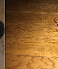 ���棡������������Ϻ