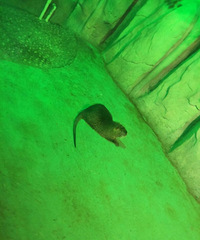 ����Ħ������ط������ߣ���15������һ���ӡ�����