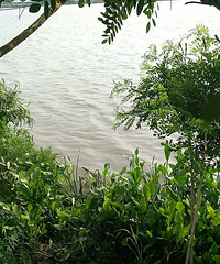 ͻ����Ҧ�ҵ�һ������������ˮ�³� ��������