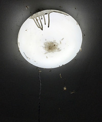 �ܼ��־�֢���������Ƿ�����ȥ��С���� ���ѣ����ϰ�