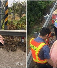 ���͡����桱���ּ��˸��� ʮ����������ס