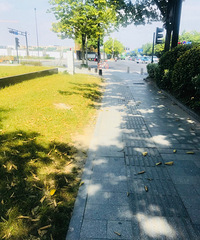 ����һ���ȣ�