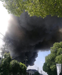 ͻ��������һ��ľҵ��������� �ֳ�һƬ����