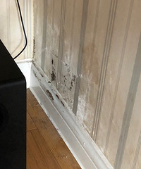 ���ٶ�Ҷ���ˮ������ĳС����ķ� ס��һ���ǽ��������