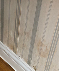 ���ٶ�Ҷ���ˮ������ĳС����ķ� ס��һ���ǽ��������