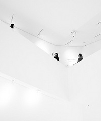 �ڰ�������