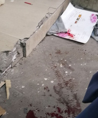 ���ϴ�̲Ѫ��������һ����̤��ʯ���ߴ�7¥׹�䣡