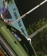 �ң��ĸ�׷β�׿���˹