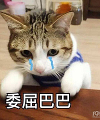 ̫ί���������������ݷ��Լ��� ���� ���ڵ�Ů��������