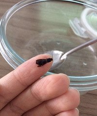 Ż������������Ӽ���ĳ֪��������Գ����ӣ�