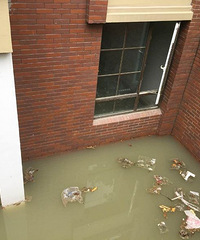 ˮ���˰��׸ߣ����˴��� ĳ�ߵ�С��ͥԺ��Ӿ�أ�