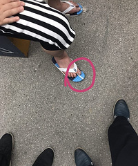 �ۡ��ۡ��ۣ�����һ���ӱ���˿��������ֺ