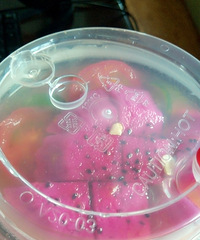 [��ʳ]̫���ˣ��Ɑˮ����ֻҪ3Ԫ��