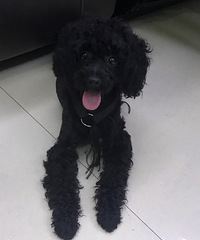 ˭��̩�϶��ˣ�����·����