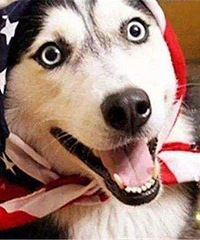 ��Զ��Ҫ��һ��ɵ�ӳ��ܣ������Ƚ���������