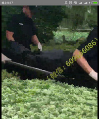 ��ʹ���������к������� ��˵�Ǹ���ĳУѧ����