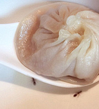 ʲô����ҵ�Գ������ϣ�