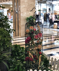 �Ȱ�����