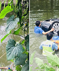 ������������������˾��������������