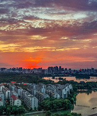 Ϧ�����޺�