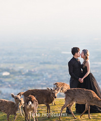 С����ϼ��Ĺ������߻�ɴ��~�����˾�����ӣ���� �����Ǻ���