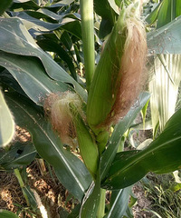 �Լ�������˭��Ҫ����������