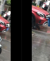 ����һֻ������С�� ���������