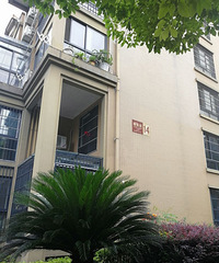 Ϊ�����������ʧ�� Ů˾��������ʻ�ң�